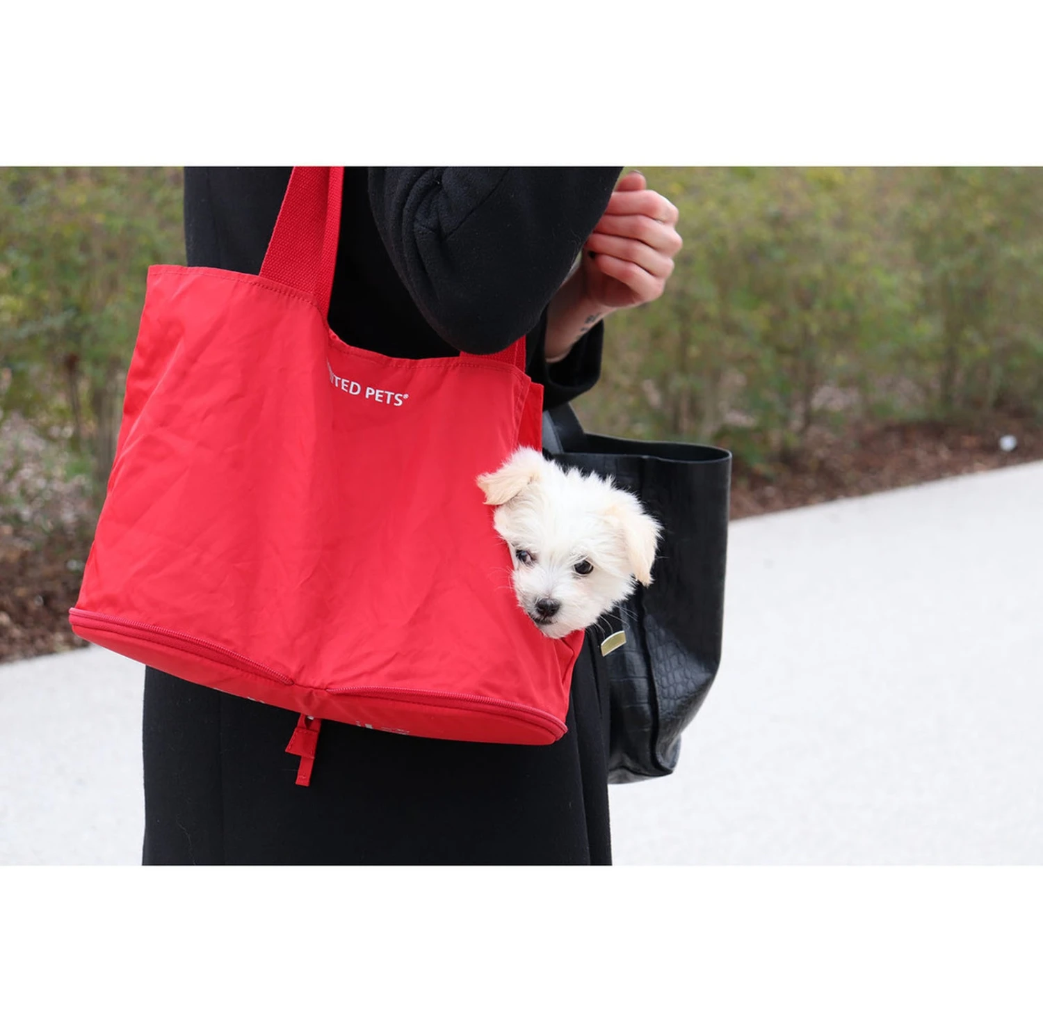 Sac De Poche Pour Petit Chien Lazy Dog 7 Sac De Poche Pour Petit Chien Lazy Dog – Image 5