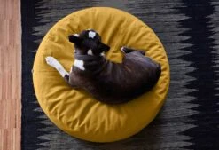 Pouf Pour Chien Stella -Pet Haven Soldes 04 pouf kalle safran