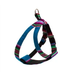 Harnais Pour Chien Inca Blue