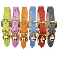 Collier Pour Chat En Cuir Gris 8 Collier Pour Chat En Cuir Gris -Pet Haven Soldes 11356512 1135743869769883 17130006 n 825b23a1 8df0 4eda a2a2 8c8b2f52e066