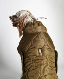 Doudoune Très Chaude Pour Chien -Pet Haven Soldes 1207150261911 04 1080x1320 494822d2 a148 4476 9b9f 83493ca2541f