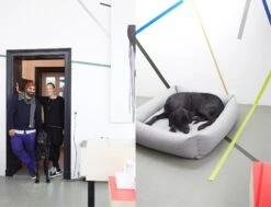 Panier Pour Chien Tweed Gris Clair Sleepy Deluxe -Pet Haven Soldes 14 Julia Ali Mogli Cloud7 Dog Bed Sleepy Deluxe