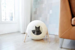 La Ball Meyou 36 La Ball Meyou -Pet Haven Soldes 150803 03 007