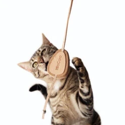 Jouet Pour Chat Coda En Liège Et Cuir 8 Jouet Pour Chat Coda En Liège Et Cuir -Pet Haven Soldes 158887623 3759517627464255 1284417710586324762 n