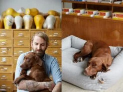 Panier Pour Chien Tweed Gris Clair Sleepy Deluxe -Pet Haven Soldes 16 Mark Fritzi Cloud7 Dog Bed Sleepy Deluxe 2