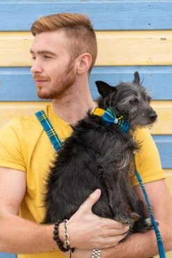 Noeud Papillon Pour Chien Shuka Blue -Pet Haven Soldes 190517 Hiro Wolf Dumpton Gap May 19 0467 622x932 cf9d41d6 fee3 49b4 9bd2 1990451ae7ae