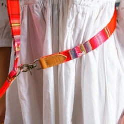 Laisse Inca Orange 8 Laisse Inca Orange -Pet Haven Soldes 210913H WSeptember2083 450x450 e5f678c7 7fbb 4d86 b8ed 8467b5348995