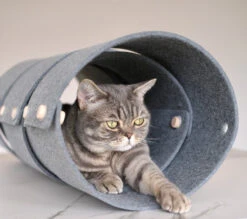 Tunnel Pour Chat FuzzPlay -Pet Haven Soldes 22CE8696 3B1A 47CC B879 EFE0C584EAFC 280 000000505EC5D727Kopie 900x 7e40a57c 7090 479a ab5d 50e6cb170921
