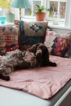 Duvet Pour Chien En Coton Bio -Pet Haven Soldes 2388073 47d67708dc17e3