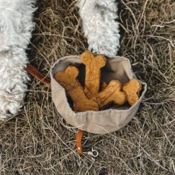 Bol De Voyage Pour Chien Pliable Melo Band & Roll -Pet Haven Soldes 244643768 2962370390642316 8361220037470814286 n