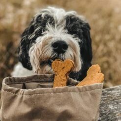 Bol De Voyage Pour Chien Pliable Melo Band & Roll -Pet Haven Soldes 244670726 2962370393975649 4449451581056655728 n