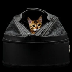 Panier De Transport Pour Chien Et Chat - SLEEPYPOD -Pet Haven Soldes 3690 Panier de transport pour chien et chat SLEEPYPOD