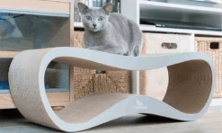 Griffoir Pour Chat Design LUI My Kotty -Pet Haven Soldes 3 lui grey banner min