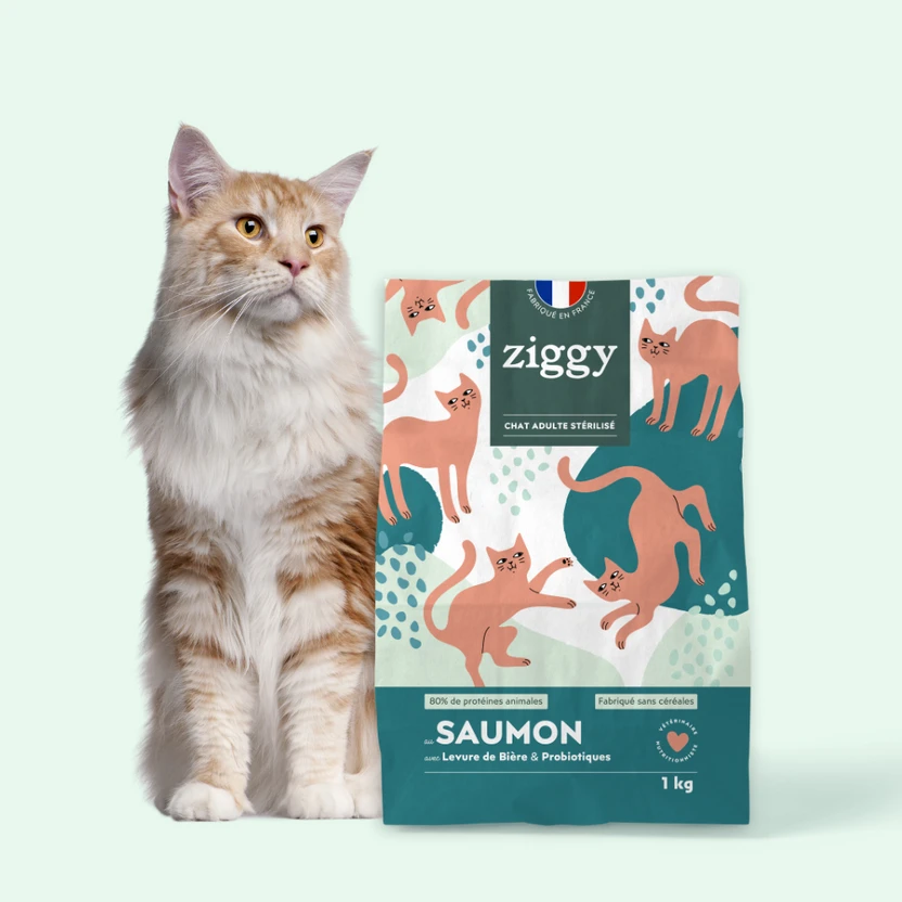 Croquettes Chat Stérilisé Sans Céréales Au Saumon 4 Croquettes Chat Stérilisé Sans Céréales Au Saumon – Image 2