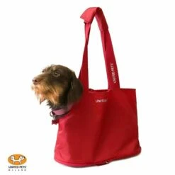 Sac De Poche Pour Petit Chien Lazy Dog 21 Sac De Poche Pour Petit Chien Lazy Dog -Pet Haven Soldes 54512067 426969104745324 8405107956070420620 n