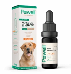 Huile De CBD Pour Chien 2,5%, 5%, 7% 9 Huile De CBD Pour Chien 2,5%, 5%, 7% -Pet Haven Soldes 7 grandschiens 500x 1d0a472c 2a41 4d87 b702 538f89472c92
