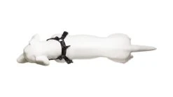 Harnais De Running Pour Chien -Pet Haven Soldes 9 720x 2087cd03 3f6e 45b5 afb2 f2ecd4872910