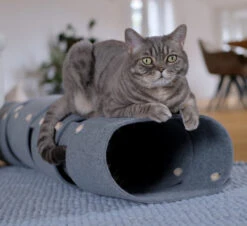 Tunnel Pour Chat FuzzPlay -Pet Haven Soldes A5D2BA31 73A3 40B7 BAF4 624259CB9AB5 5144 000002CBDD40BB20Kopie 900x 9bc85df8 c245 4c75 96fc 859eb381d79d