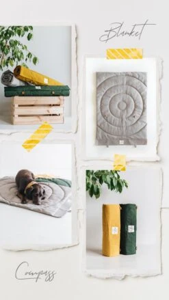 Matelas De Voyage Pour Chien Enroulable Compass Band & Roll -Pet Haven Soldes Blanket Compass 720x da4f3e9e f6b1 47d1 8428 b3ce94ab3a54