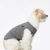 Body Pour Chien Josef -Pet Haven Soldes Body liso Josef Plain body Josef grey 2