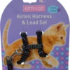 Harnais Et Laisse à Pois Pour Chaton 1 Harnais Et Laisse à Pois Pour Chaton -Pet Haven Soldes CH4202 Spotty Black Kitten Harness LR