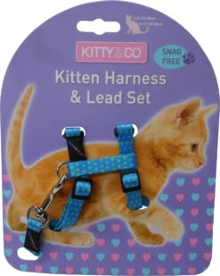 Harnais Et Laisse à Pois Pour Chaton -Pet Haven Soldes CH4202 Spotty Blue Kitten Harness LR