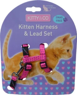 Harnais Et Laisse à Pois Pour Chaton -Pet Haven Soldes CH4202 Spotty Pink Kitten Harness LR