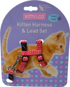 Harnais Et Laisse à Pois Pour Chaton -Pet Haven Soldes CH4202 Spotty Red Kitten Harness LR 1