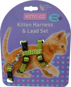 Harnais Et Laisse à Pois Pour Chaton -Pet Haven Soldes CH4202 Spotty Yellow Kitten Harness LR