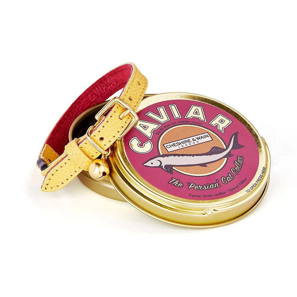 Collier Pour Chat En Cuir Persian Caviar 3 Collier Pour Chat En Cuir Persian Caviar