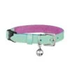 Collier Pour Chat En Cuir Louis Wain -Pet Haven Soldes Cheshire WainLouisWainCatCollarLeatherLuxury PastelMint 1800x1800 918c4a2d a54f 4e31 b0f7 67e5ae1cae5c