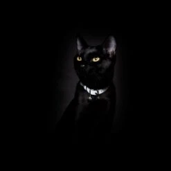 Collier Pour Chat Réfléchissant Lumino Lux -Pet Haven Soldes Cheshire WainReflectiveCatCollar SilverGreyHighVisibilityBreakawaySafetyBuckleUK 1800x1800 6923b55e 947b 4a36 b517 a4c8358dcefb