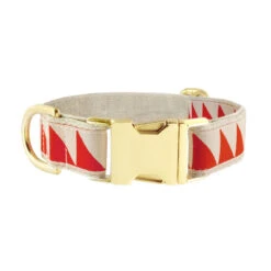 Collier Pour Chien Nice Grill Rouge