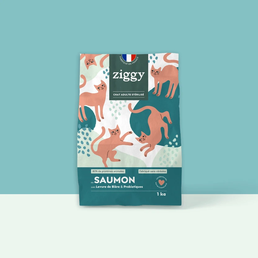 Croquettes Chat Stérilisé Sans Céréales Au Saumon 3 Croquettes Chat Stérilisé Sans Céréales Au Saumon