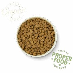 Pet Haven Soldes -Pet Haven Soldes DCB 3