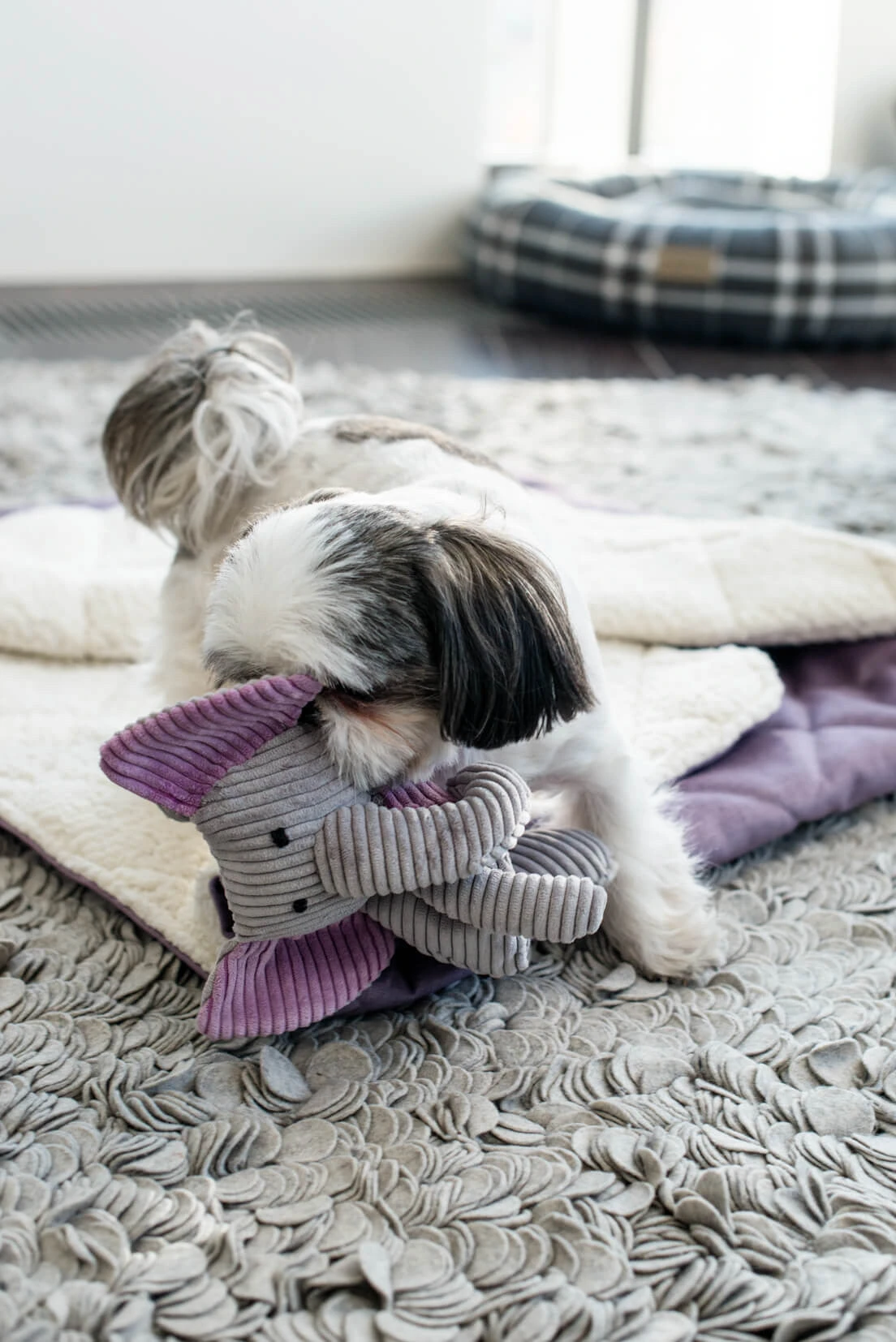 Jouet Pour Chien Stimulant Dumbo 4 Jouet Pour Chien Stimulant Dumbo – Image 2