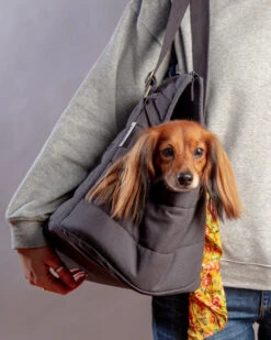 Sac De Transport Pour Chien (max 15kg) -Pet Haven Soldes Dog Co 1C5A2503 1024x1024 ec76c171 e2f0 4f46 aef7 454befbacd88