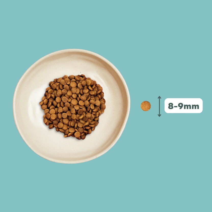 Croquettes Chat Stérilisé Sans Céréales Au Saumon 5 Croquettes Chat Stérilisé Sans Céréales Au Saumon – Image 3