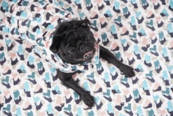 Manteau Pour Petit Chien -Pet Haven Soldes GetAttachmentThumbnail 4c8bbd59 5e7d 4959 98df 390fb2eb6006