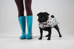 Manteau Pour Petit Chien -Pet Haven Soldes GetAttachmentThumbnail d554b13a bc53 4bb6 8dcf 4eaef44db8c7