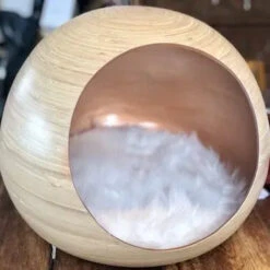 Dandy Ball -Pet Haven Soldes Golden22Mo jpg