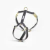 Harnais Chef L’Bark See Scout Sleep -Pet Haven Soldes Harness CLB BlackCream 1