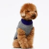 Pull En Laine Pour Chien Mark 2 Pull En Laine Pour Chien Mark -Pet Haven Soldes Jersey Mark G3