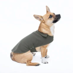 Imperméable Pour Petit Chien Microfibres -Pet Haven Soldes Jolie Dog Arthur moss2 grande 5582089b 5cca 447f bfc6 c02f7d1843fc