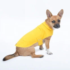 Imperméable Pour Petit Chien Microfibres -Pet Haven Soldes Jolie Dog Arthur yellow1 grande 69966b65 6e70 4b5e 99b8 68053ddf003b