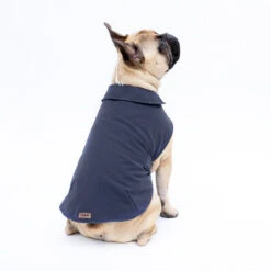 Imperméable Pour Petit Chien Microfibres