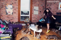 Photo Encadrée Série Crazy Cat Lover : Judith