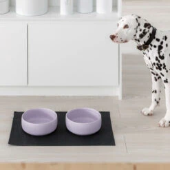 Bol Pour Chien Design Nordique Ole Hyvä -Pet Haven Soldes Kind for Dogs Ole hyv dog bowl lavender