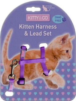 Harnais Réglable Et Laisse Pour Chaton 7 Harnais Réglable Et Laisse Pour Chaton -Pet Haven Soldes Kitty Co Snag Free Purple Kitten Harness Lead Set