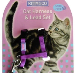 Harnais Et Laisse Couleur Unie Pour Chat -Pet Haven Soldes Kitty and Co Snag Free Purple Cat Harness Lead Set 510x500 1